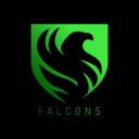 Team Falcons 1 Team Falcons eSports