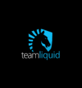 Liquid